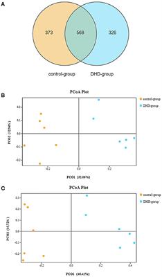 Integrated 16S rDNA Gene Sequencing and Untargeted Metabolomics Analyses to Investigate the Gut Microbial Composition and Plasma Metabolic Phenotype in Calves With Dampness-Heat Diarrhea